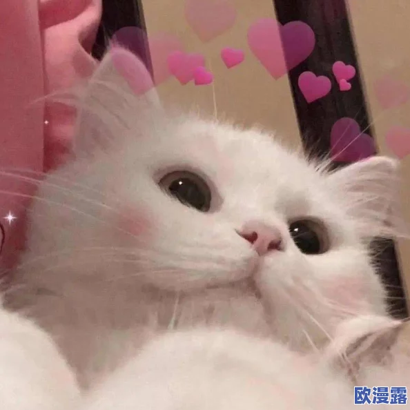 孩娇小videos精品:最新发布的可爱视频合集,带你领略萌宠与儿童的欢乐瞬间! 孩娇小videos精品:最新发布的可爱视频合集,带你领略萌宠与儿童的欢乐瞬间!