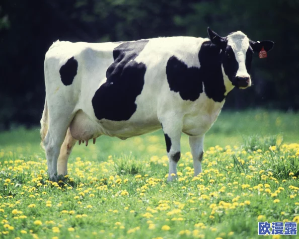 超级肉禽系统保安:全球首个智能监控技术上线,确保食品安全与动物福利双重保障! 超级肉禽系统保安:全球首个智能监控技术上线,确保食品安全与动物福利双重保障!