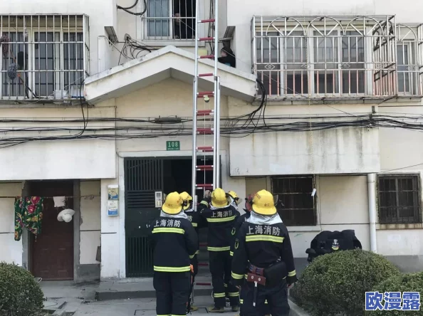 被压到落地玻璃窗前的紧急救援：消防队员迅速赶到现场，成功解救被困人员并进行医疗救助