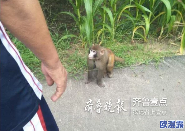 黄色哟哟哟:全球首个黄色动物园开幕,吸引数万游客争相打卡! 黄色哟哟哟:全球首个黄色动物园开幕,吸引数万游客争相打卡!
