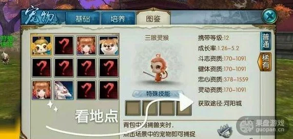诛仙手游深度解析:宠物飞升系统玩法攻略及详细飞升条件介绍 诛仙手游深度解析:宠物飞升系统玩法攻略及详细飞升条件介绍