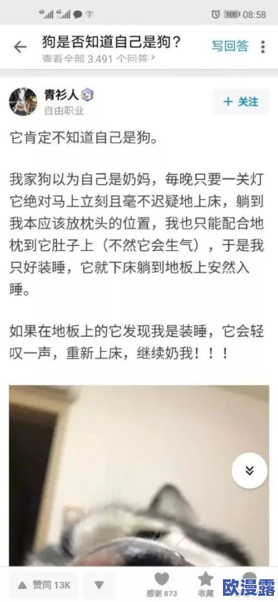 黄台404:神秘失踪事件引发全国关注,网友热议背后真相与可能的阴谋论! 黄台404:神秘失踪事件引发全国关注,网友热议背后真相与可能的阴谋论!