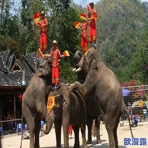 暗网呦呦:最新研究揭示暗网交易的隐秘生态与安全风险,警惕网络犯罪新趋势! 暗网呦呦:最新研究揭示暗网交易的隐秘生态与安全风险,警惕网络犯罪新趋势!