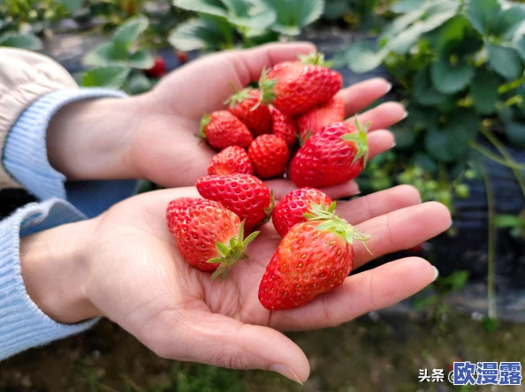 《云梦四时歌》清明角色深度剖析:技能、属性与玩法全面解读 《云梦四时歌》清明角色深度剖析:技能、属性与玩法全面解读