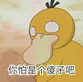 宝可梦大探险全关卡通关秘籍与攻略技巧详细汇总 宝可梦大探险全关卡通关秘籍与攻略技巧详细汇总