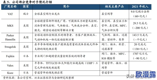 美国Swagelok公司推出革命性流体控制技术，助力工业自动化迈向新纪元，提升效率与安全性！