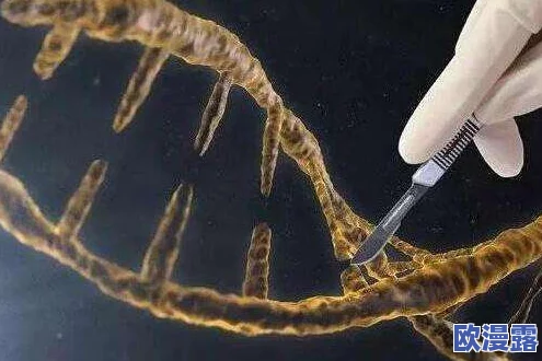 放荡的美妇在线播放:最新动态与观众反馈引发热议,内容更新频繁吸引大量粉丝关注 放荡的美妇在线播放:最新动态与观众反馈引发热议,内容更新频繁吸引大量粉丝关注