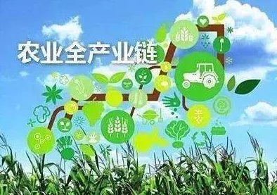 破苞新技术应用于农业,助力提高作物产量与质量,引发业内广泛关注与讨论 破苞新技术应用于农业,助力提高作物产量与质量,引发业内广泛关注与讨论