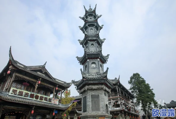 大地资源中文在线观看免费版：全面解析土地资源的分布、利用与管理策略，助力可持续发展在现代社会中的应用与实践