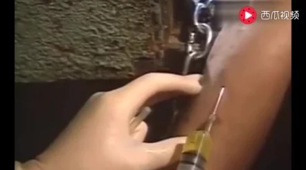 紧缚女体拷问：惊悚事件曝光，警方介入调查背后真相引发社会热议！