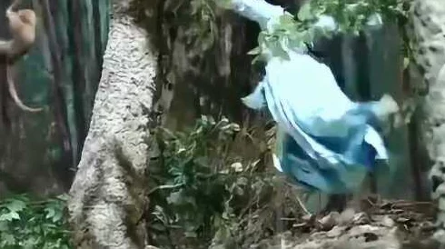 还珠格格之紫薇福伦山洞蛇咬,惊险瞬间引发观众热议,剧情反转让人目不暇接! 还珠格格之紫薇福伦山洞蛇咬,惊险瞬间引发观众热议,剧情反转让人目不暇接!