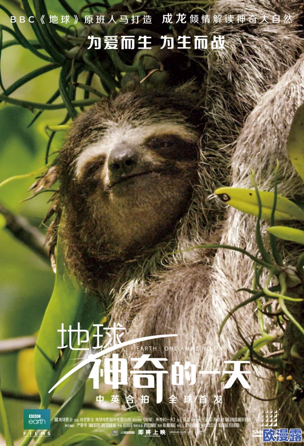 欧美人与动物的奇妙互动:当人类与野生动物亲密接触,惊险瞬间引发热议! 欧美人与动物的奇妙互动:当人类与野生动物亲密接触,惊险瞬间引发热议!