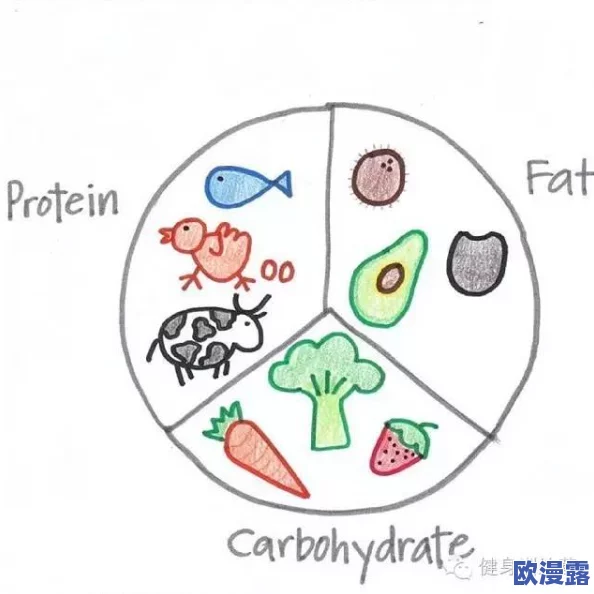 一小时人生:高效食物节约技巧与全面食物获得途径一览指南 一小时人生:高效食物节约技巧与全面食物获得途径一览指南
