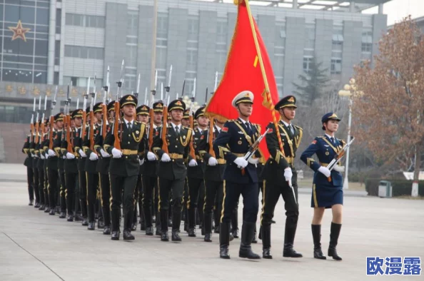 保卫萝卜3码头关卡全解：第31关攻略，优先消灭障碍物策略详解