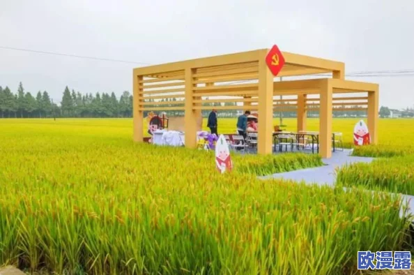 丰年经的继拇6:网友热议其对农业发展的影响与未来前景,纷纷表达各自看法和期待 丰年经的继拇6:网友热议其对农业发展的影响与未来前景,纷纷表达各自看法和期待