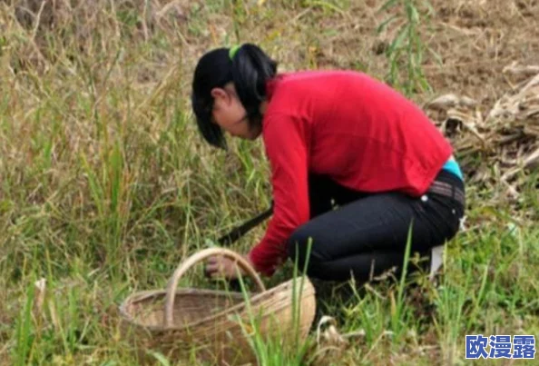 饥渴老寡妇小伙子视频引发热议,网友纷纷表达对内容的看法,有人认为这是对社会现象的反映,也有人感到不适 饥渴老寡妇小伙子视频引发热议,网友纷纷表达对内容的看法,有人认为这是对社会现象的反映,也有人感到不适