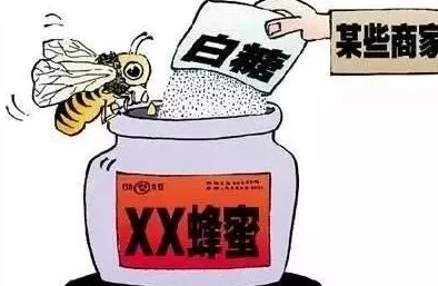 废土危行头晕掉血问题全解析:吃花与蜂蜜的实用解决方法 废土危行头晕掉血问题全解析:吃花与蜂蜜的实用解决方法