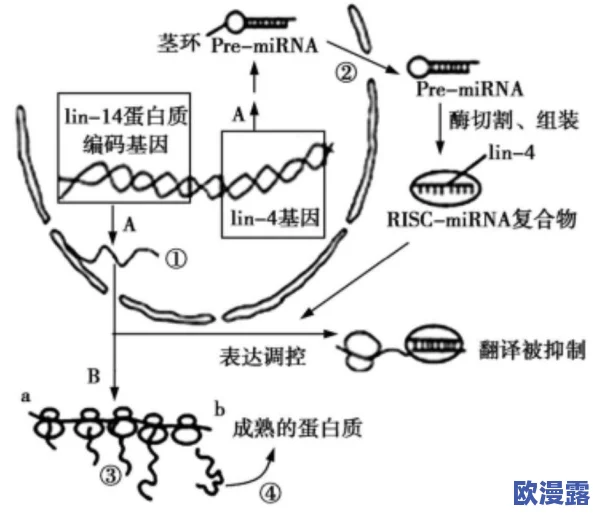 乂乂乂：全球气候变化加剧，科学家呼吁采取紧急行动以保护生态环境和人类未来