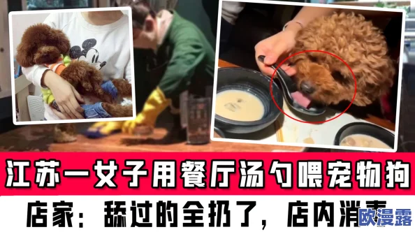男人舔女人的视频引发热议，网友们纷纷表达对这种行为的看法，有人认为这是个人选择，也有人感到不适