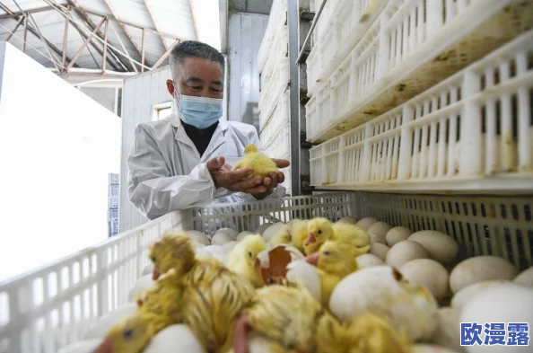 特级片毛片:最新动态揭示行业发展趋势与观众需求变化,分析市场潜力与未来方向 特级片毛片:最新动态揭示行业发展趋势与观众需求变化,分析市场潜力与未来方向