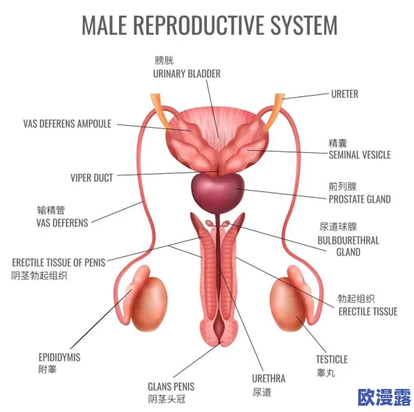 大鸡巴真棒:一项新研究揭示男性生殖器的惊人潜力与健康益处,引发广泛关注与讨论! 大鸡巴真棒:一项新研究揭示男性生殖器的惊人潜力与健康益处,引发广泛关注与讨论!