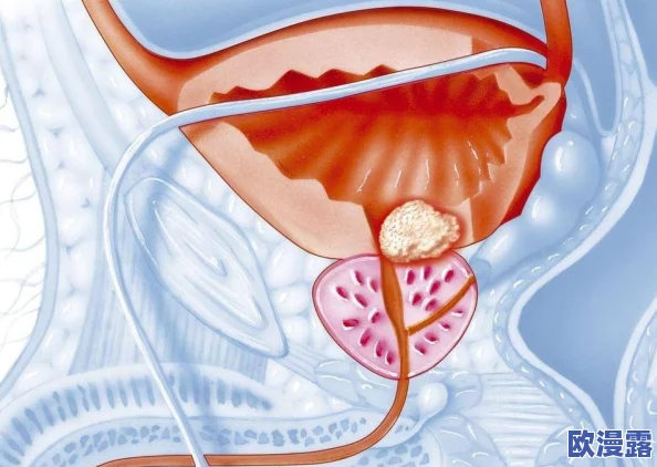 大鸡巴真棒:一项新研究揭示男性生殖器的惊人潜力与健康益处,引发广泛关注与讨论! 大鸡巴真棒:一项新研究揭示男性生殖器的惊人潜力与健康益处,引发广泛关注与讨论!