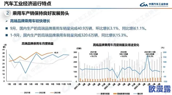 9-1-1精品产国品一二三产区区别在于各自的生产标准、市场需求及消费趋势的最新动态分析 9-1-1精品产国品一二三产区区别在于各自的生产标准、市场需求及消费趋势的最新动态分析