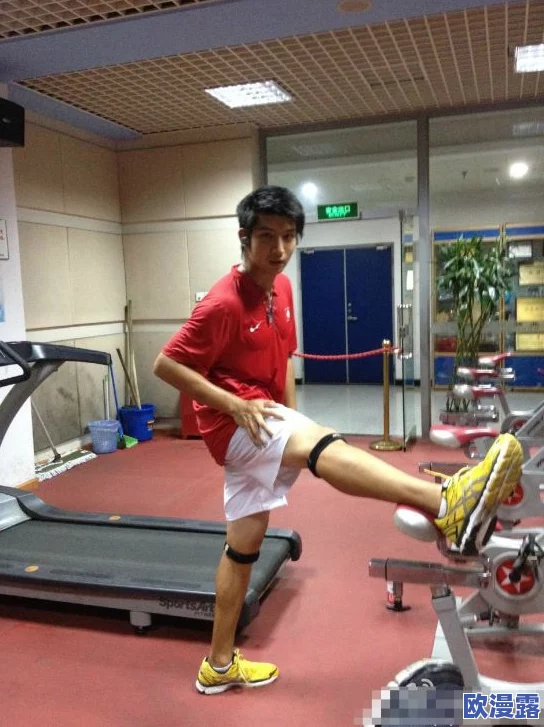 体育男腹肌啪啪网站男同：最新动态与发展趋势分析，探讨其在社交媒体中的影响力及受众群体变化