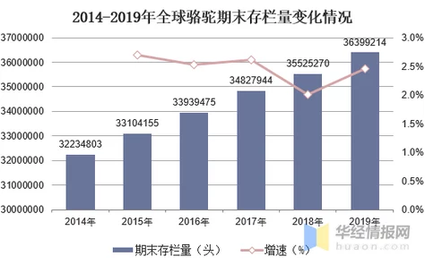 欧美一级毛片一级：最新动态与行业趋势分析，探讨其在全球市场中的影响力及未来发展方向