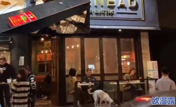 美女污网站：最新动态揭示平台内容更新与用户互动情况，吸引更多年轻用户关注与参与