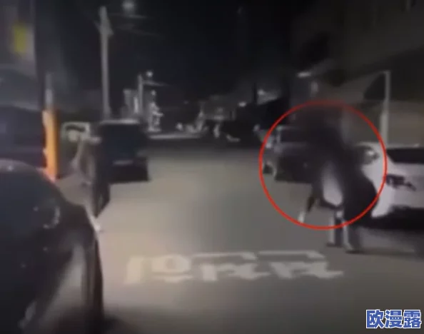 男女猛烈无遮挡午夜视频：最新情况曝光