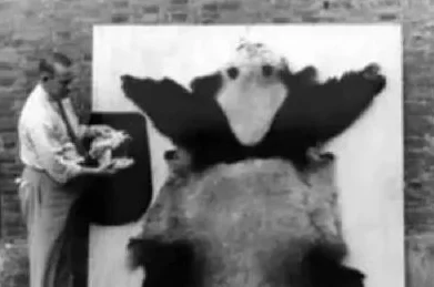 刀塔传奇远征高效阵容攻略：克制熊猫英雄搭配推荐指南