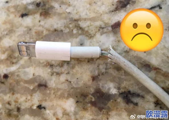 太粗太大太长我受不了了:网友热议新款手机充电线,称其设计不符合日常使用需求,引发广泛讨论 太粗太大太长我受不了了:网友热议新款手机充电线,称其设计不符合日常使用需求,引发广泛讨论