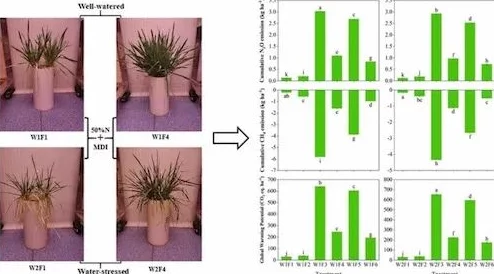猛烈撞击灌满白浊花液，科学家发现新方法提高植物生长效率，引发农业领域广泛关注与讨论