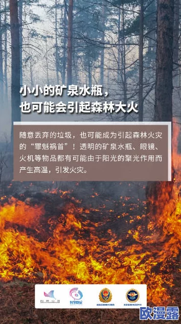 乡村烈焰又粗又长又大，火灾频发引发关注，专家呼吁加强森林防火和应急管理措施