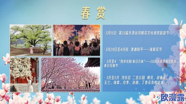 欧美激情视频在线免费观看：最新动态更新，提供更丰富的内容选择与观看体验，满足用户多样化需求