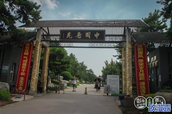 我的起源策划深度曝光：揭秘全新游戏玩法及具体开测时间预告