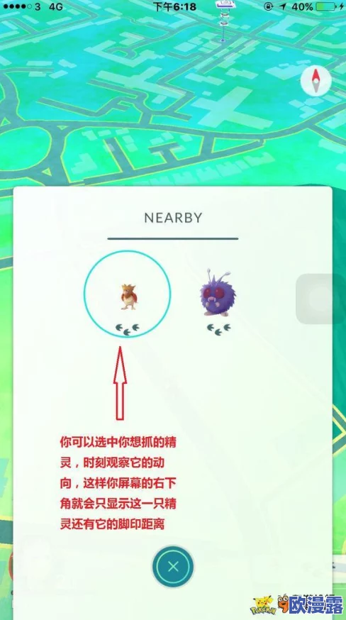 精灵宝可梦GO道具系统全面解析:新手必备攻略与使用技巧指南 精灵宝可梦GO道具系统全面解析:新手必备攻略与使用技巧指南