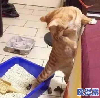 亚洲毛茸茸多女八厕所小便引发网友热议，大家对这一现象的看法各异，有人认为应加强公共卫生管理