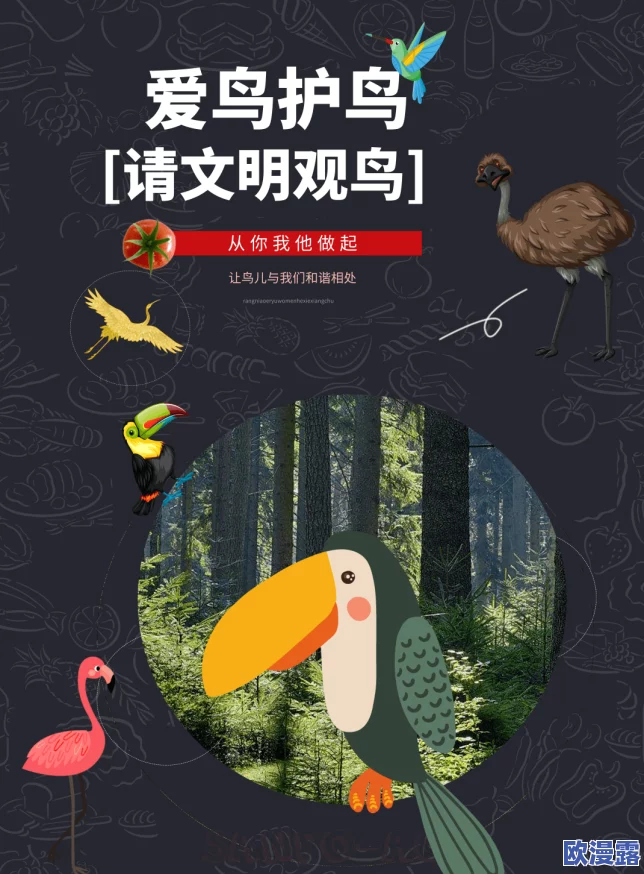 探索日本有趣的文化现象：从传统节日到现代潮流，揭示独特的生活方式与风俗习惯