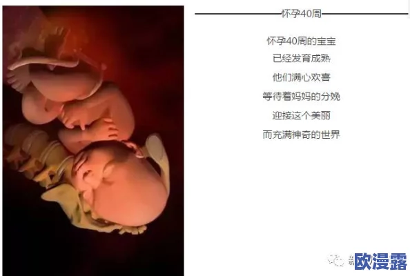 大肚孕嗯啊h文:探索怀孕期间的情感与身体变化的奇妙旅程 大肚孕嗯啊h文:探索怀孕期间的情感与身体变化的奇妙旅程