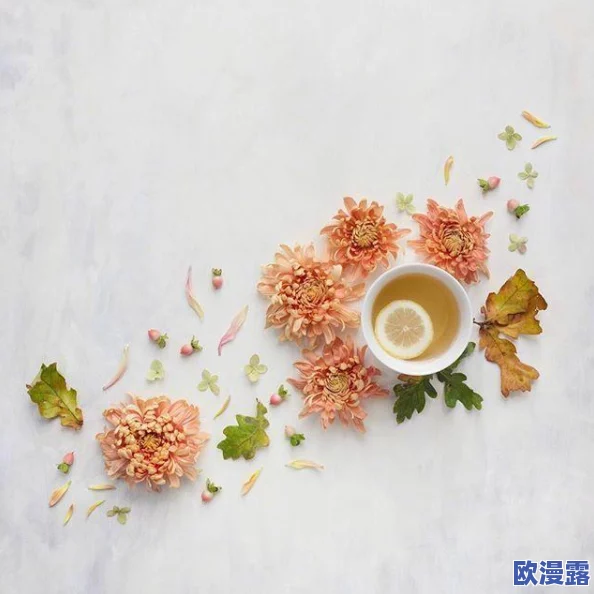 探索欧洲独特魅力：免费观看极品视频，带你领略不同文化与风景的奇妙之旅