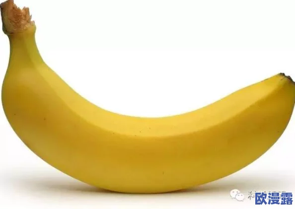 探索国产精品吹潮香蕉在线观看的魅力与精彩,带你领略不一样的视听盛宴 探索国产精品吹潮香蕉在线观看的魅力与精彩,带你领略不一样的视听盛宴