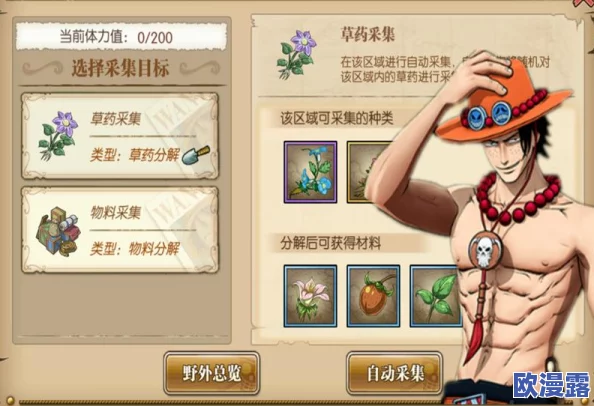 航海王燃烧意志:全面解析采药玩法,新手必备采药教学攻略指南 航海王燃烧意志:全面解析采药玩法,新手必备采药教学攻略指南