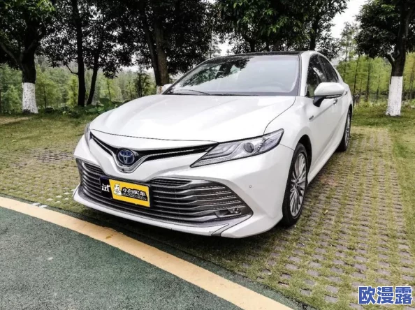 探索日韩一级片在线:畅享多样化影视内容与精彩剧情的完美结合 探索日韩一级片在线:畅享多样化影视内容与精彩剧情的完美结合