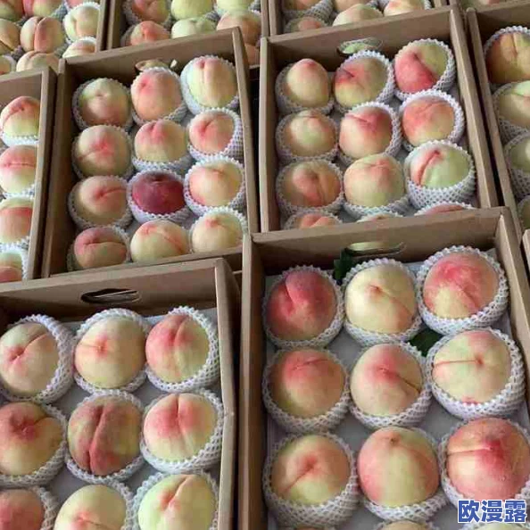 97密桃:最新动态揭示其在市场上的热度持续攀升,消费者对其品质和口感的高度评价引发关注 97密桃:最新动态揭示其在市场上的热度持续攀升,消费者对其品质和口感的高度评价引发关注