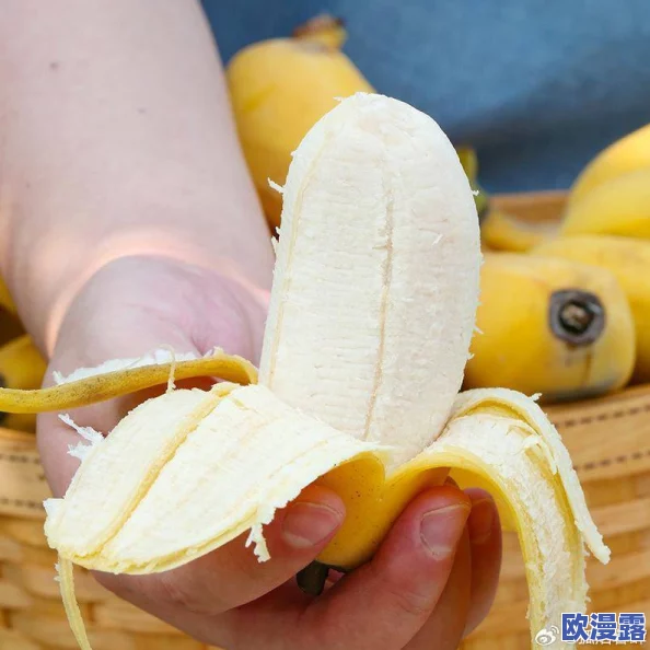 探索97精品伊人久久久大香线蕉的魅力与独特之处,感受不一样的视听盛宴 探索97精品伊人久久久大香线蕉的魅力与独特之处,感受不一样的视听盛宴