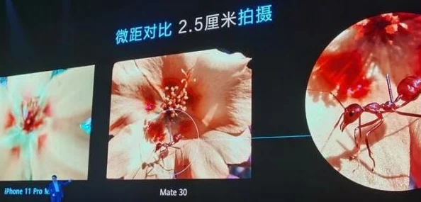 探索免费永久欧美性色XO影院,畅享无尽精彩影视体验的最佳选择 探索免费永久欧美性色XO影院,畅享无尽精彩影视体验的最佳选择