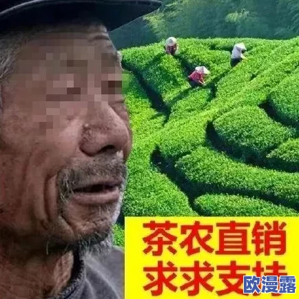 哑巴通房11h,真是让人感到震惊,这种现象背后隐藏着怎样的社会问题呢? 哑巴通房11h,真是让人感到震惊,这种现象背后隐藏着怎样的社会问题呢?