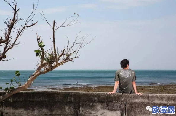 海角 披风 少年,这个故事充满了青春的梦想与勇气,让人感受到无限可能 海角 披风 少年,这个故事充满了青春的梦想与勇气,让人感受到无限可能